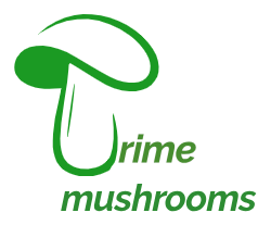 Quality mushrooms