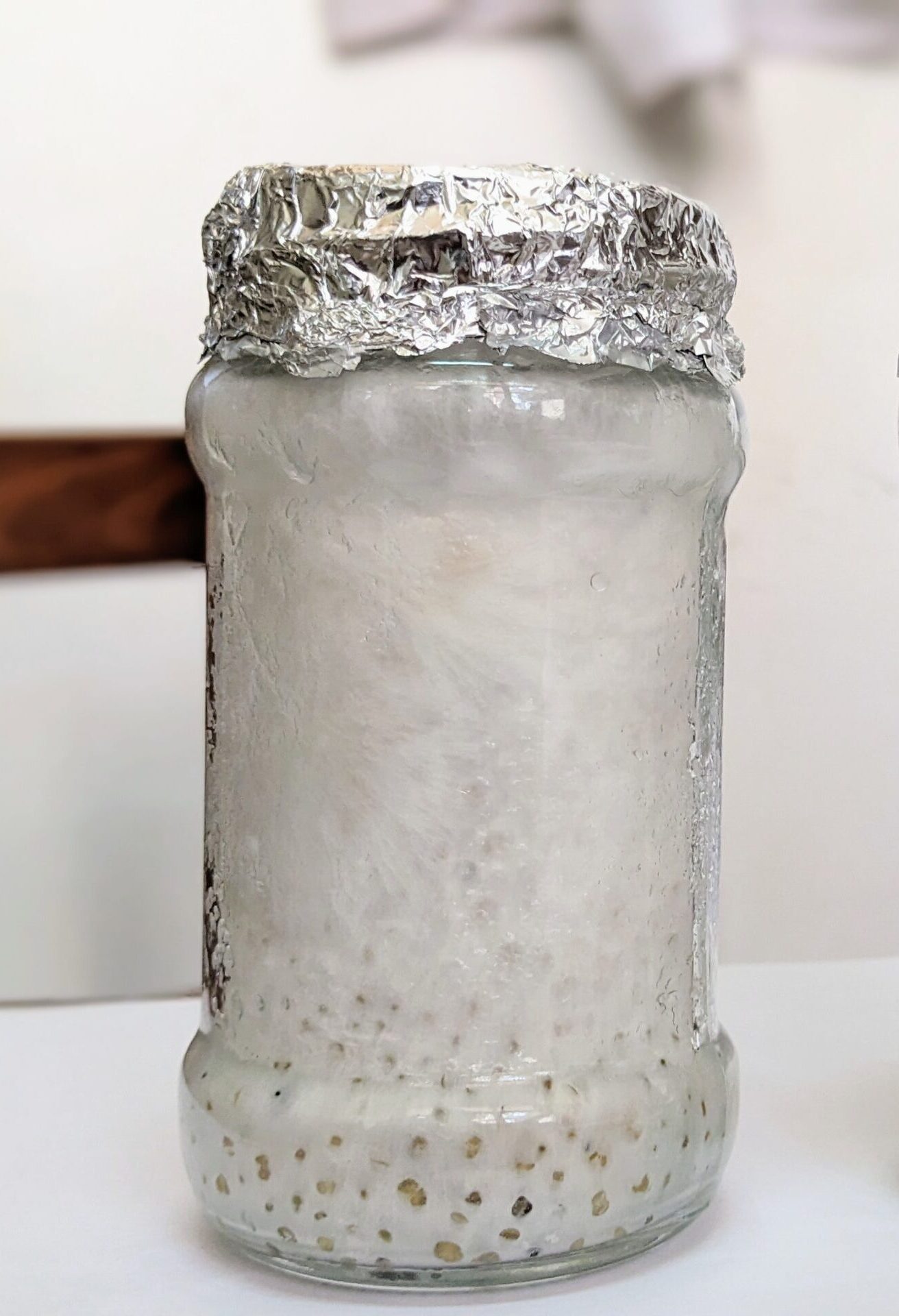 PXL_20250728_064349504.PORTRAIT